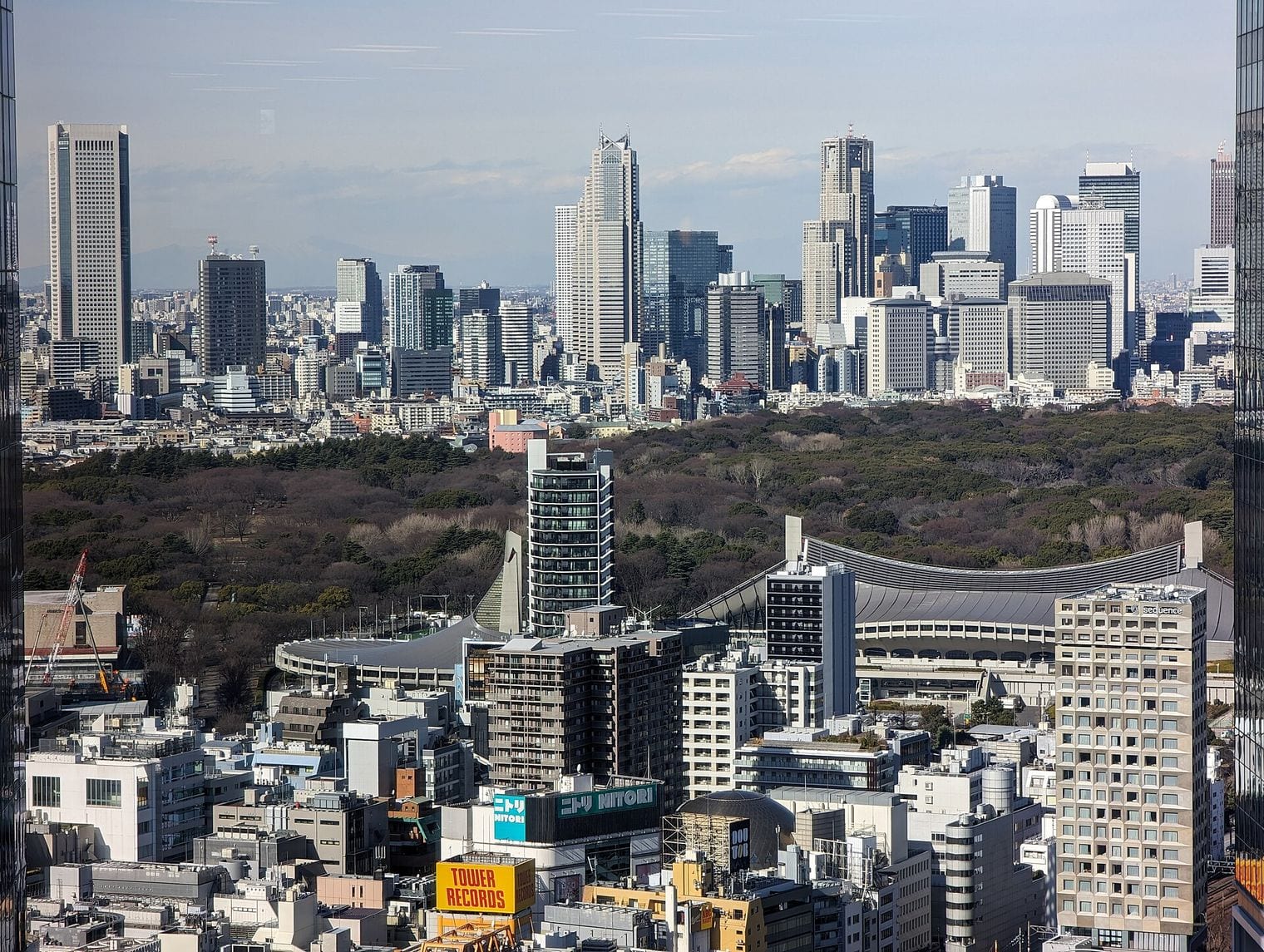 Yoyogi Park, Japan