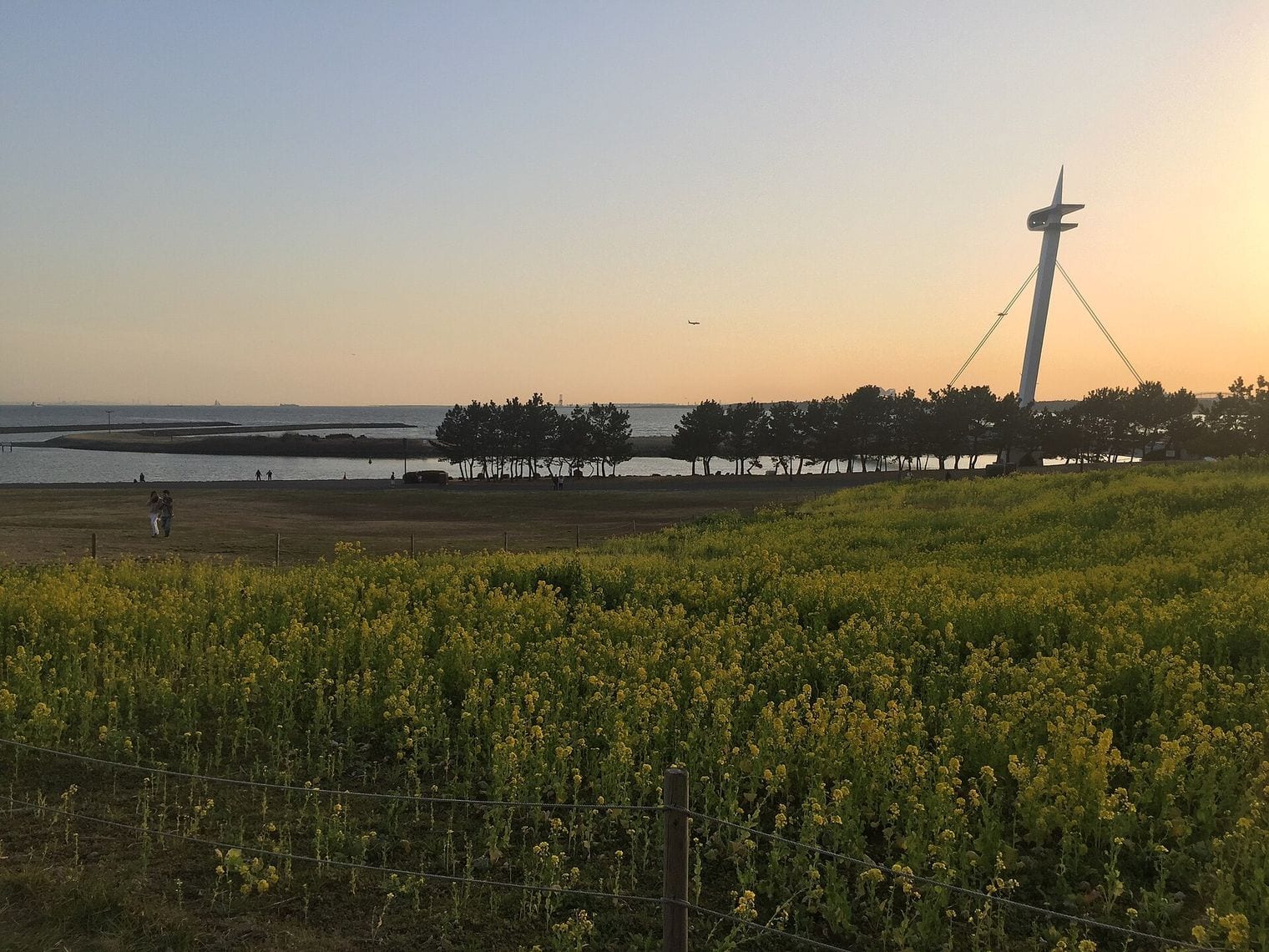 Kasai Rinkai Park, Japan