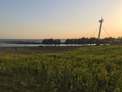 Kasai Rinkai Park