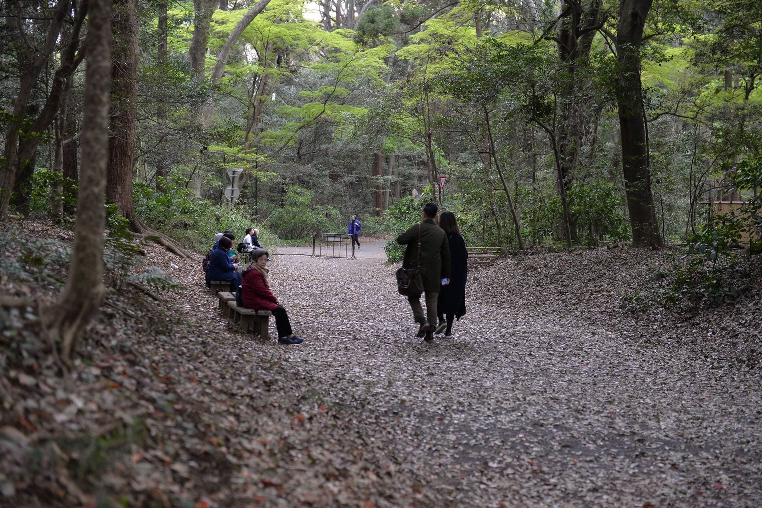 Meiji Jingu, Japan