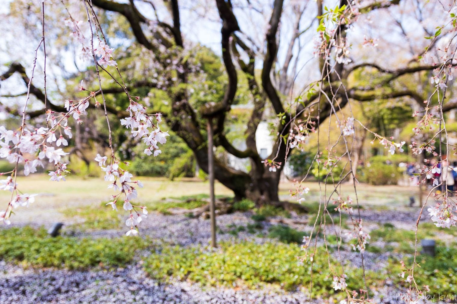 Rikugien Gardens, Japan