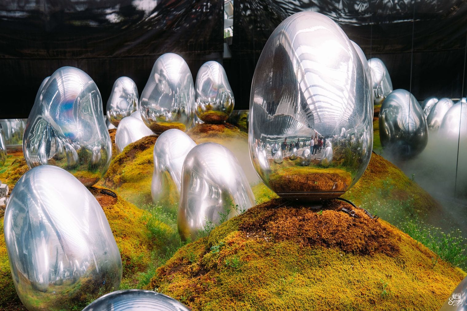 teamLab Planets TOKYO DMM, Japan