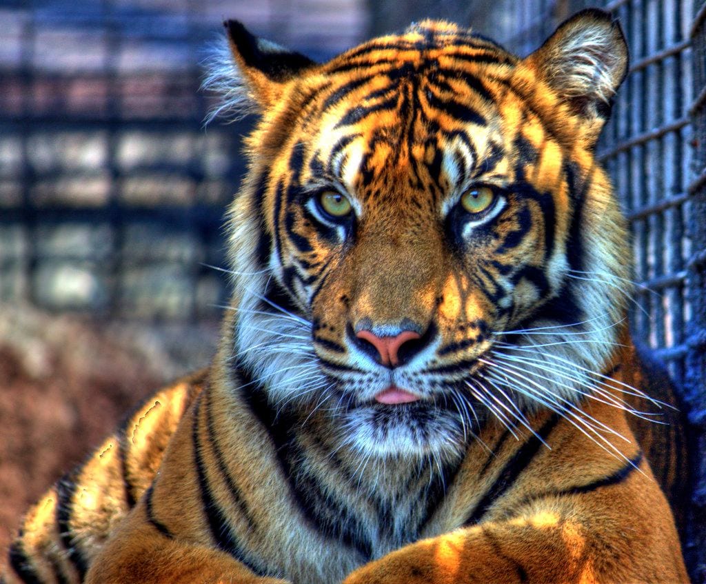Topeka Zoo and Conservation Center