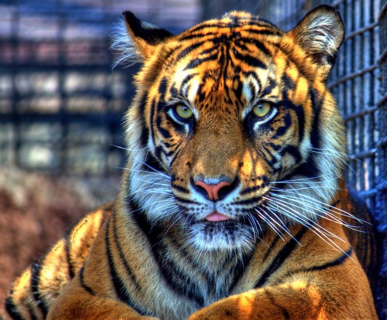 Topeka Zoo & Conservation Center