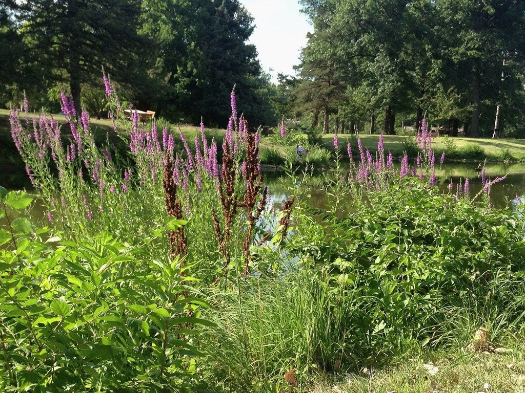 Gage Park, Topeka, Kansas