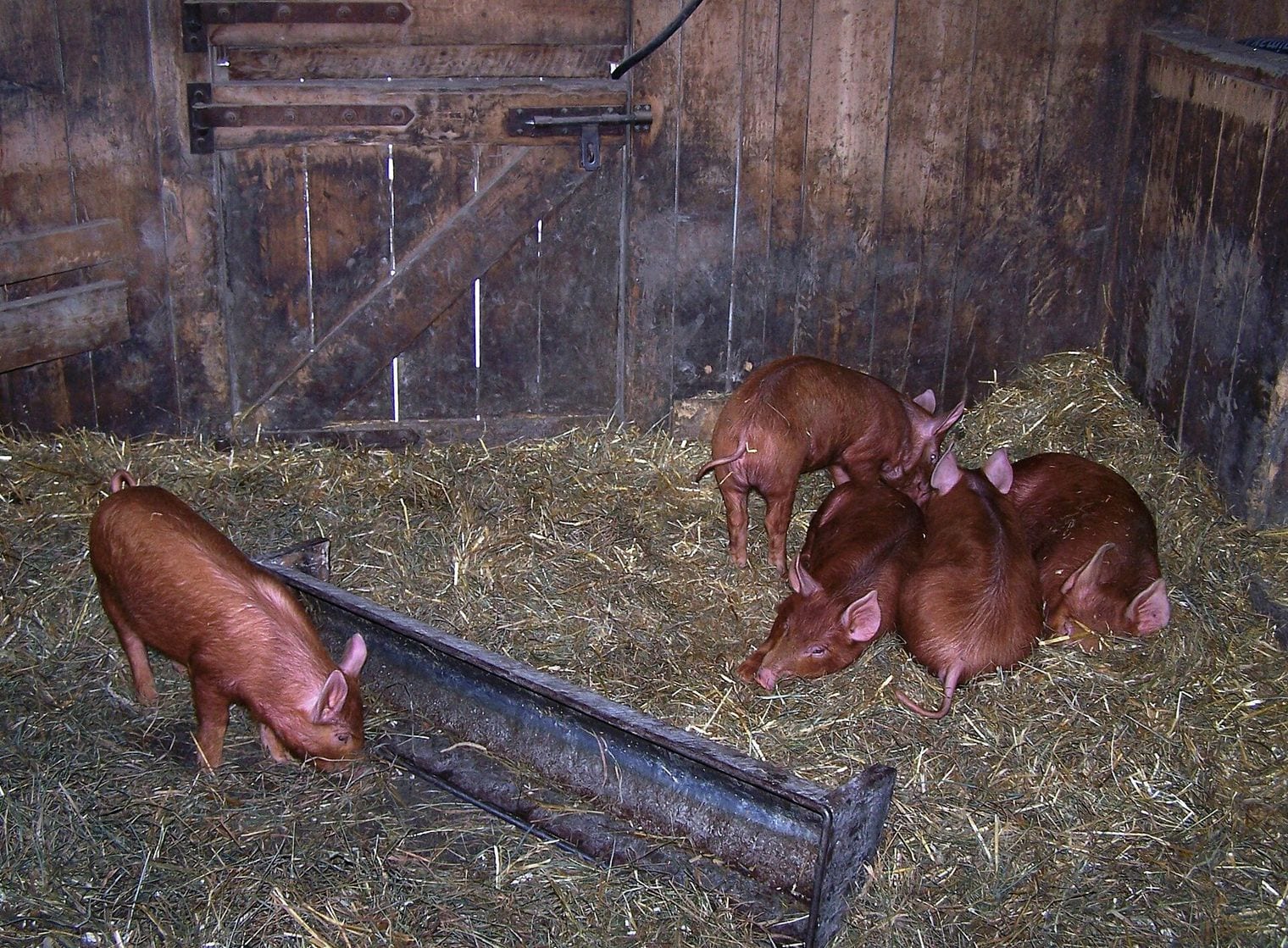 Riverdale Farm, Canada
