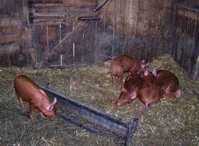 Riverdale Farm