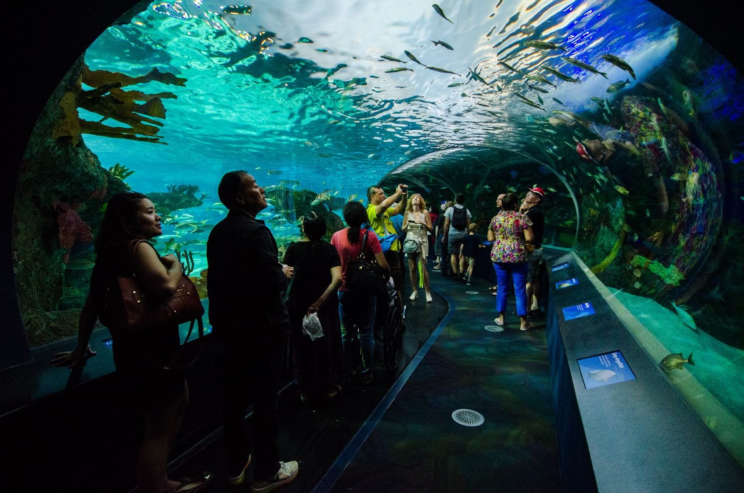 Ripley's Aquarium of Canada, Canada