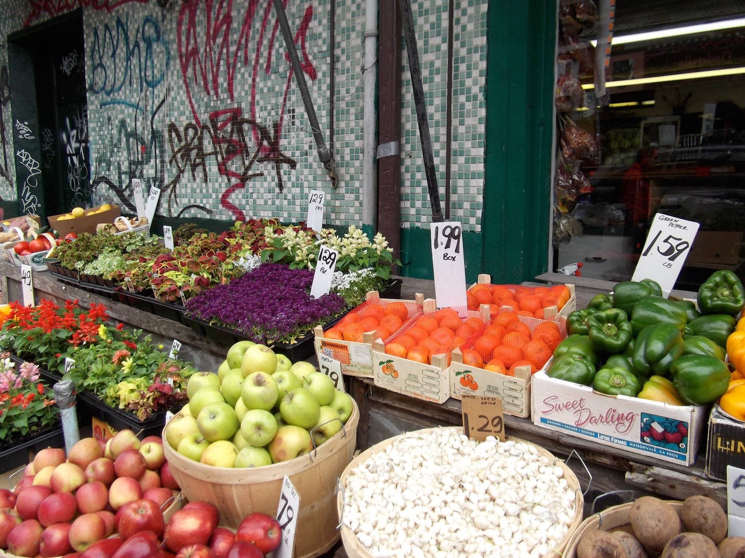 Kensington Market, Canada