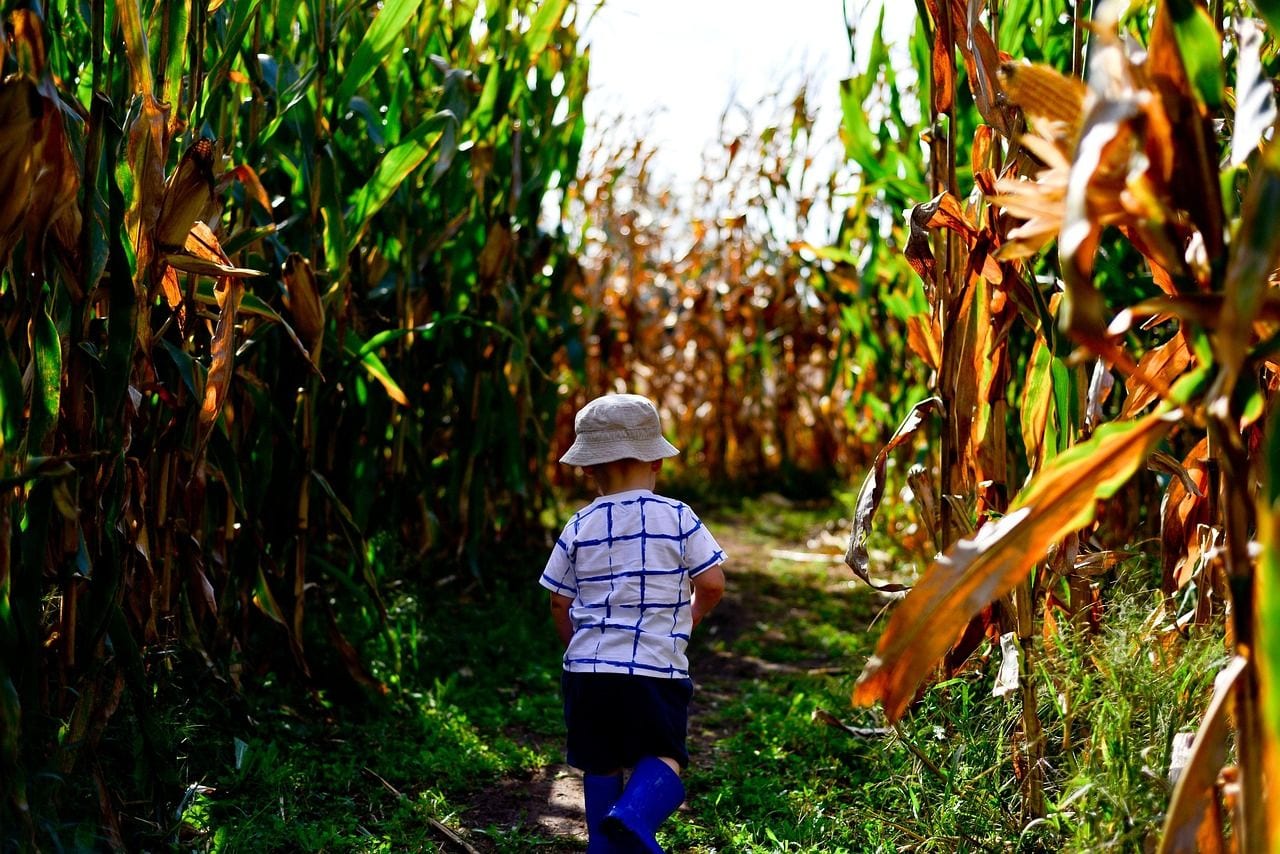 Jacobs Farm TC, Traverse City, Michigan