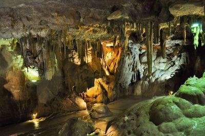 Conch Bar Caves