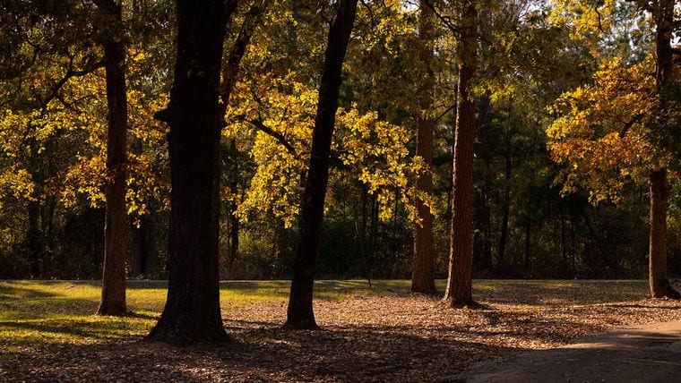 Rose Rudman Recreational Trail