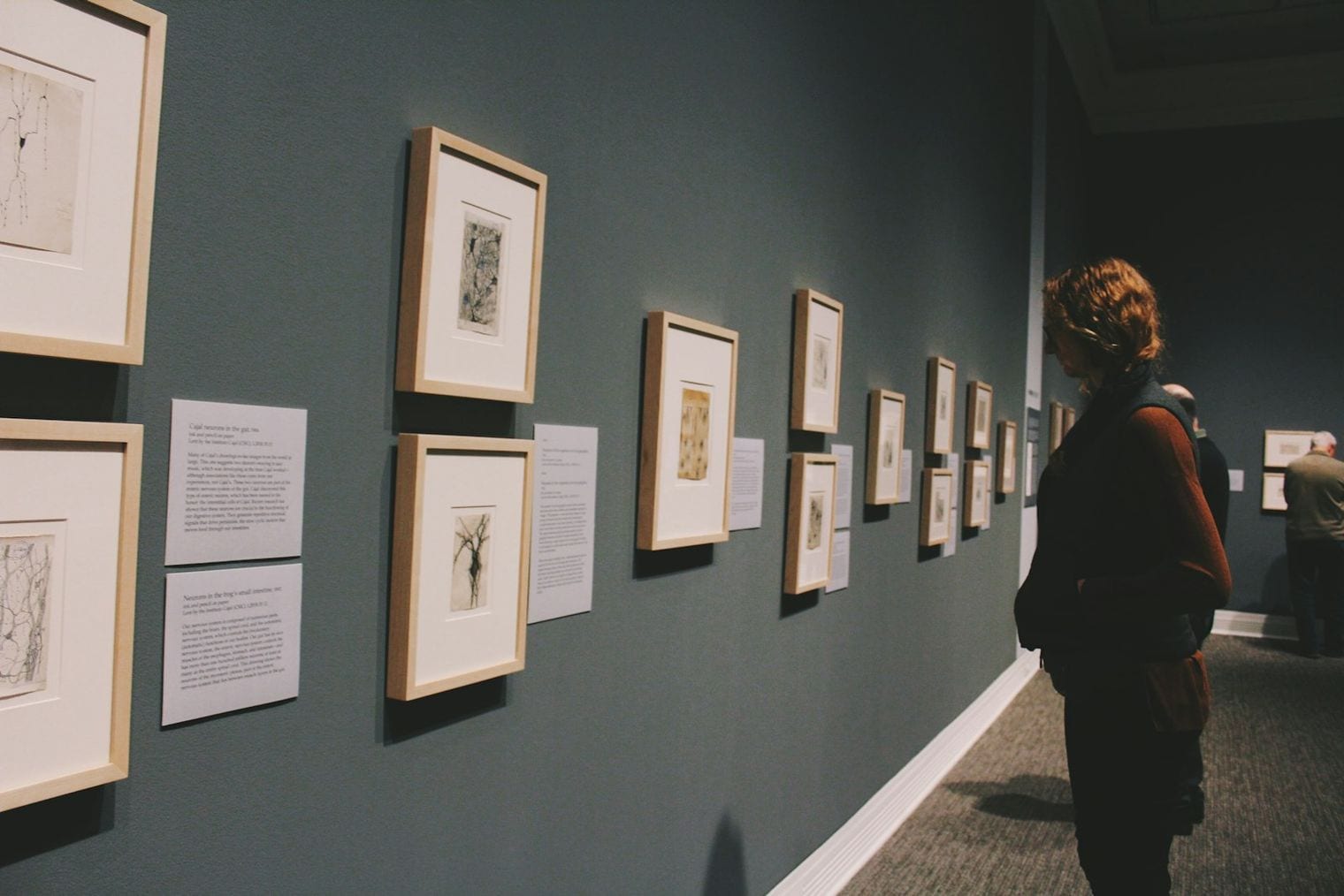 Tyler Museum of Art