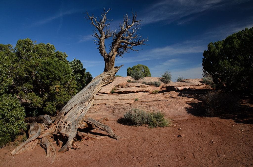Dead Horse Point State Park, Utah