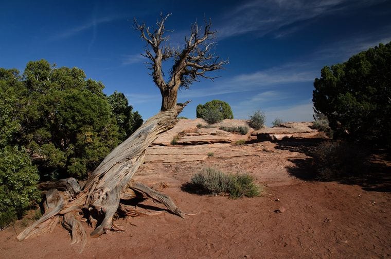 Dead Horse Point State Park