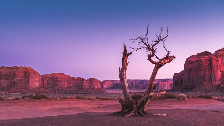 Colorado Plateau