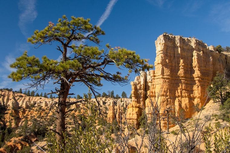 Bryce Canyon National Park