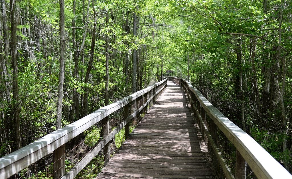 Grand Bay Wildlife Management Area, Valdosta, Georgia
