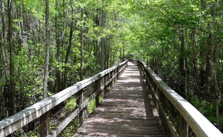 Grand Bay Wildlife Management Area