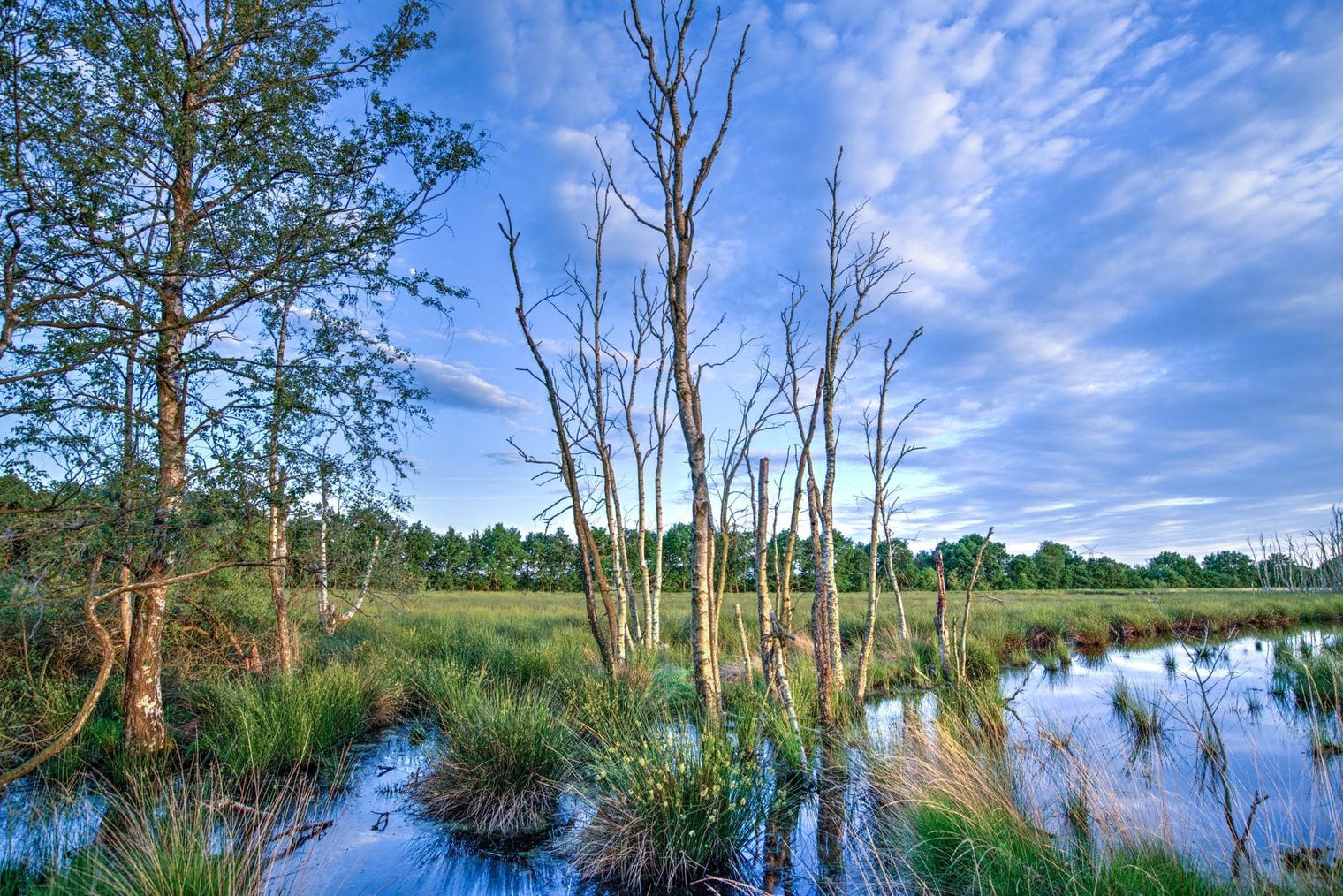 Madison Heights dr. Park, Valdosta, Georgia