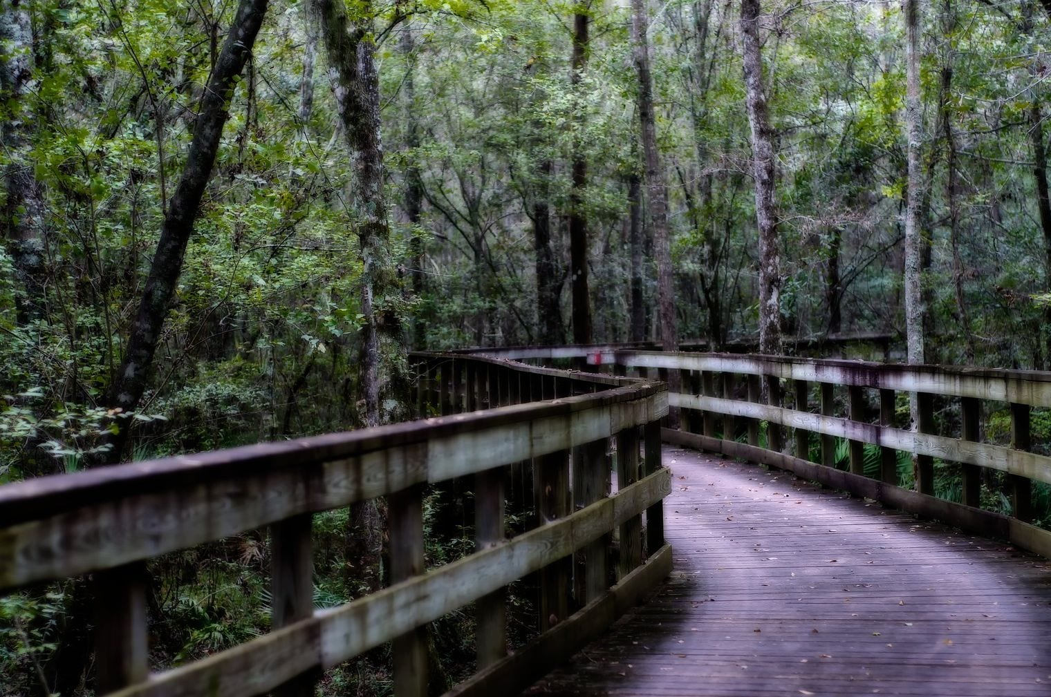 Reed Bingham State Park, Valdosta, Georgia