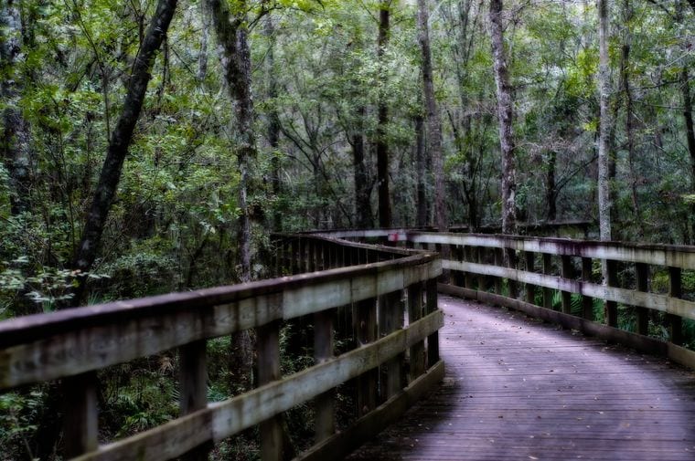 Reed Bingham State Park