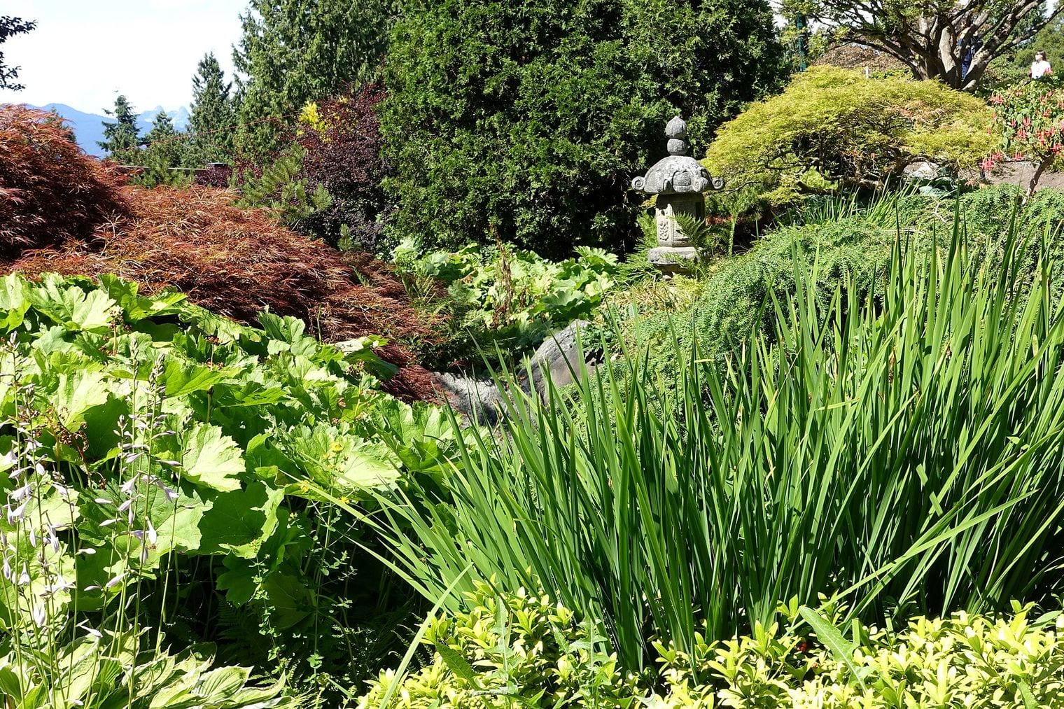 Queen Elizabeth Park, Canada