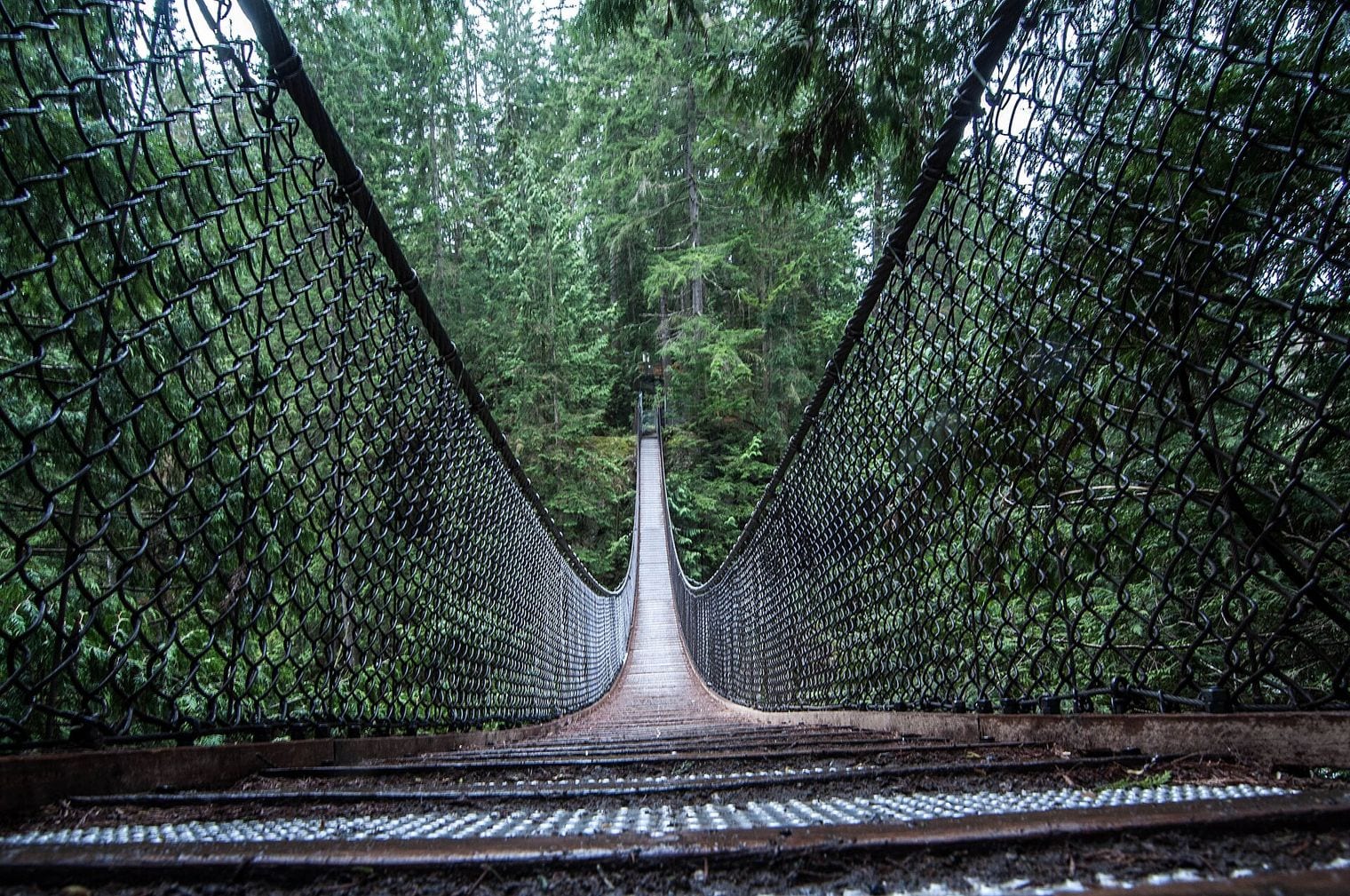 Lynn Canyon Suspension Bridge, Canada