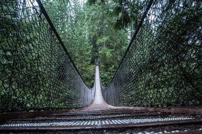 Lynn Canyon Suspension Bridge