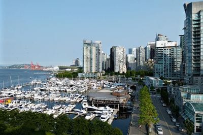 Harbour Cruises