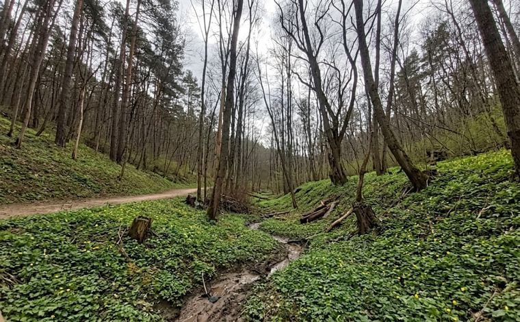 Karoliniškės Landscape Reserve