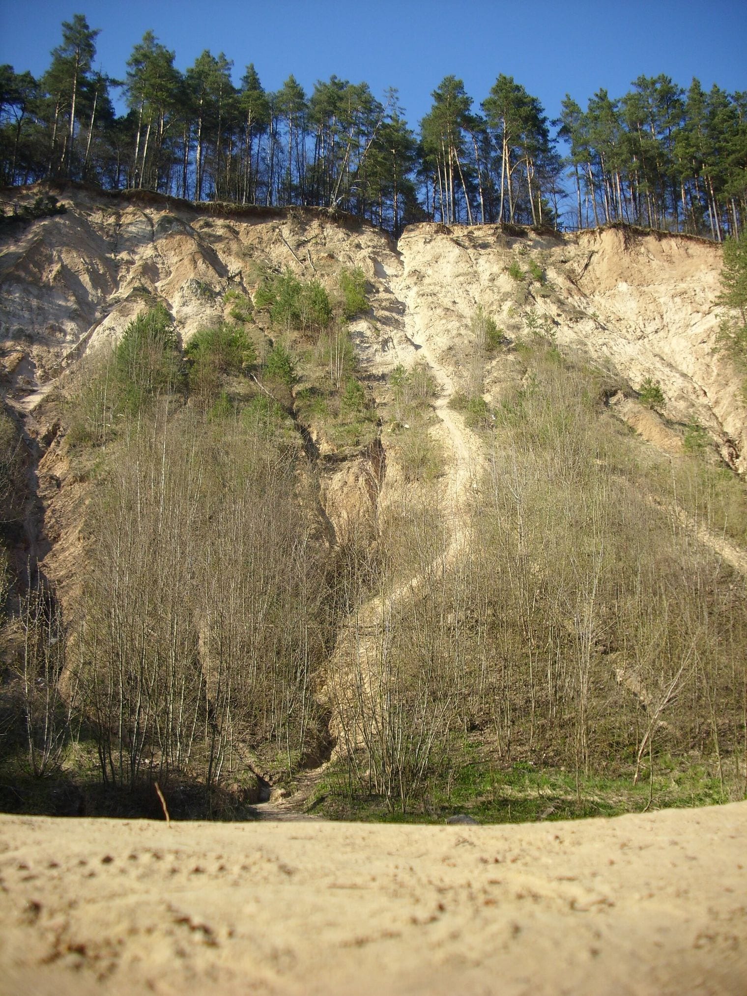 Pūčkoriai Exposure, Lithuania