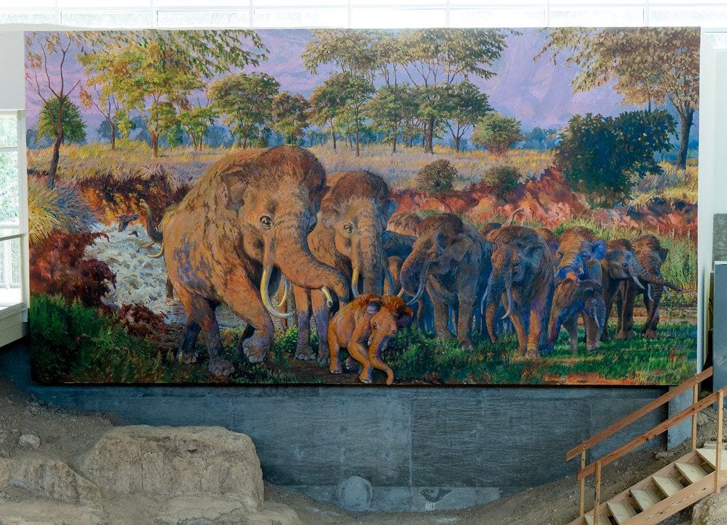 Waco Mammoth National Monument, Waco, Texas