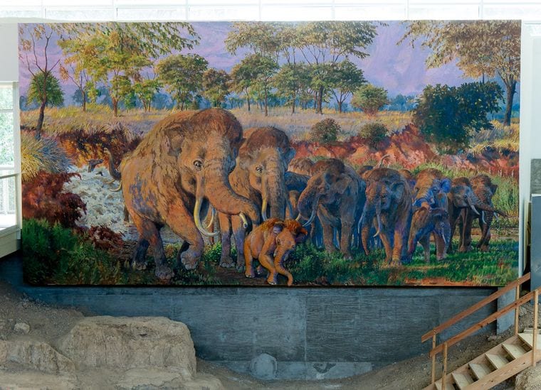 Waco Mammoth National Monument