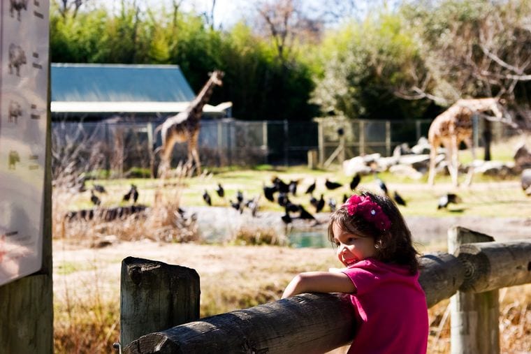 Cameron Park Zoo