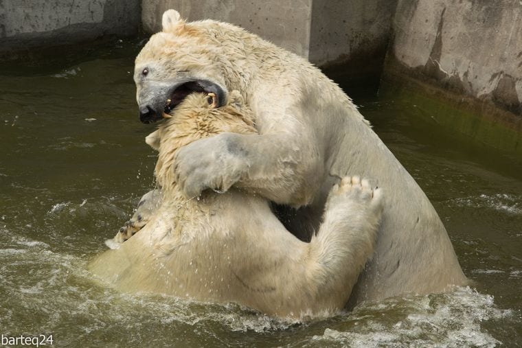 Warsaw Zoo