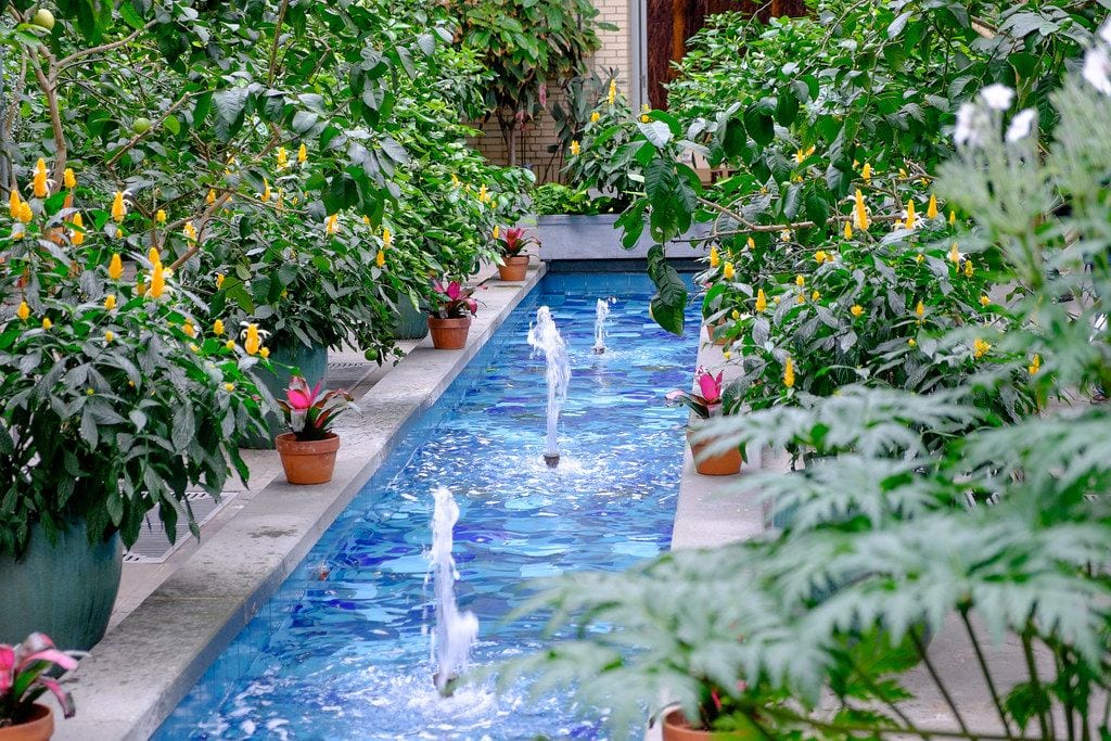 United States Botanic Garden, Washington, District of Columbia