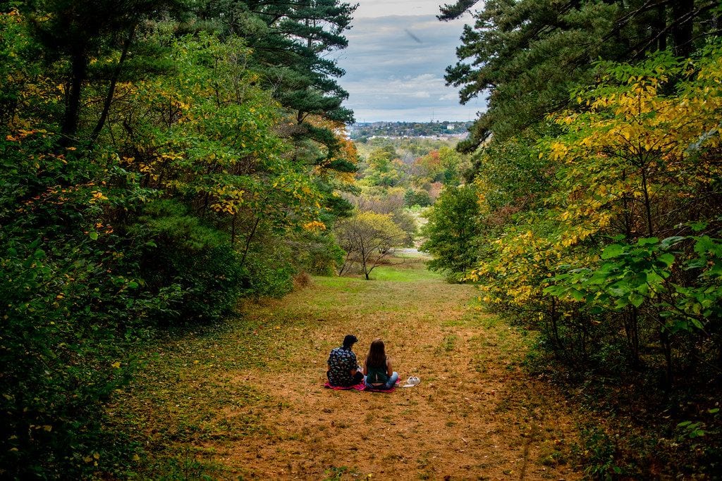 US National Arboretum, Washington, District of Columbia