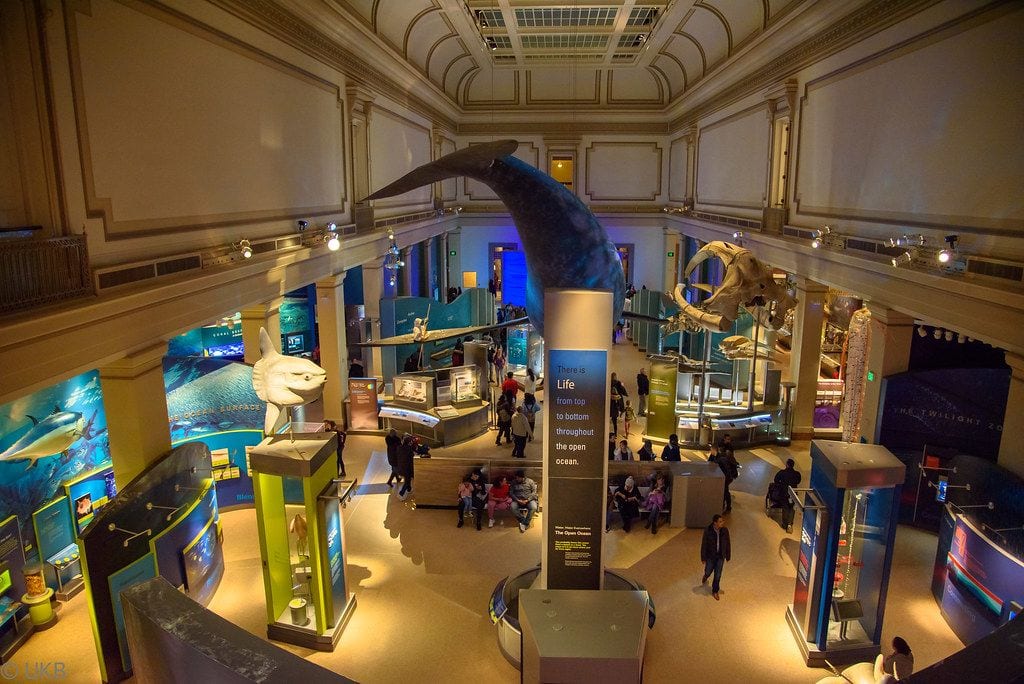 Smithsonian National Museum of Natural History, Washington, District of Columbia