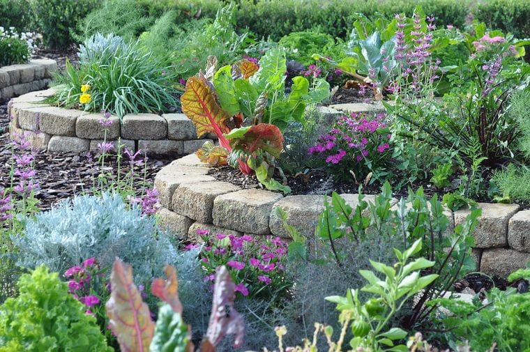 Mounts Botanical Garden