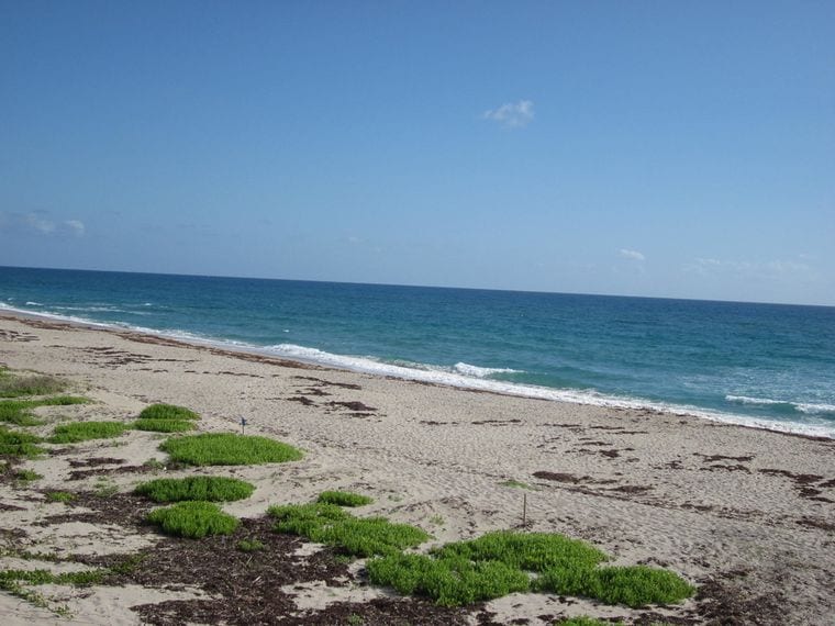 Riviera Beach