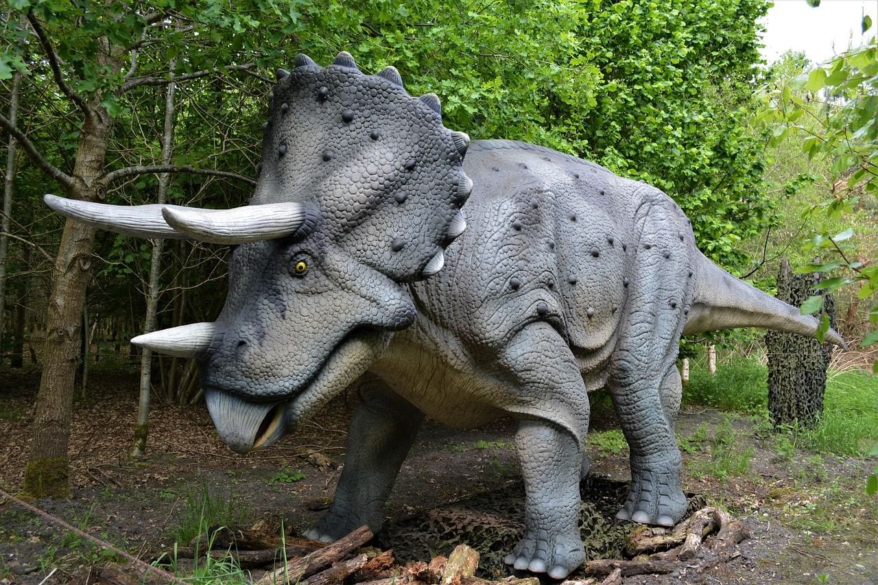Field Station Dinosaurs, Wichita, Kansas