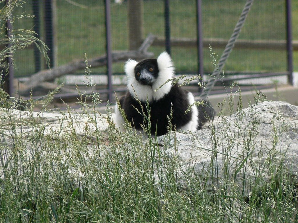 Tanganyika Wildlife Park, Wichita, Kansas
