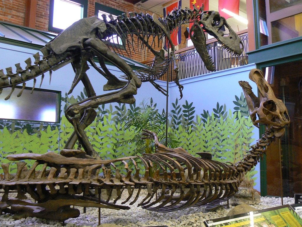 Museum of World Treasures, Wichita, Kansas