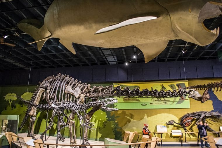 Delaware Museum of Nature & Science