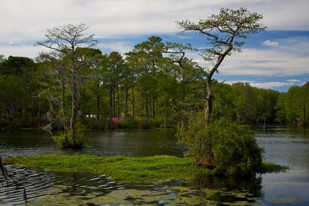 Greenfield Park, Wilmington, North Carolina
