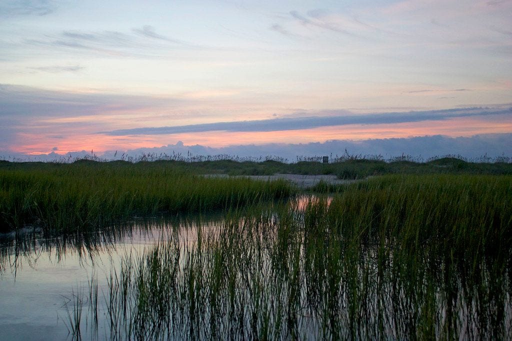 Masonboro Island Reserve, Wilmington, North Carolina