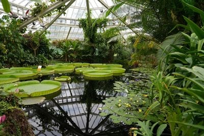 Zagreb Botanical Garden
