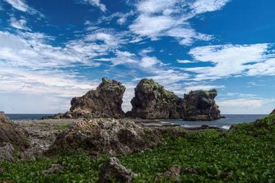 Orchid Island