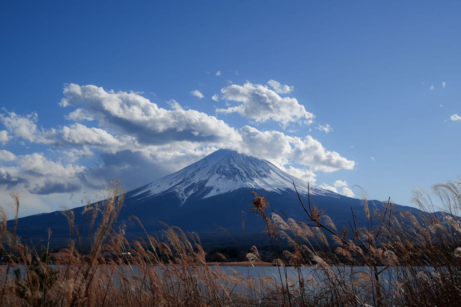 Mount Fuji, World